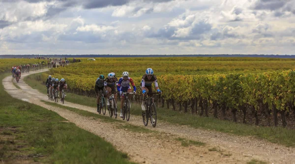 Noizay Frankrijk Oktober 2020 Het Peloton Rijdt Wijngaarden Tijdens Paris — Stockfoto