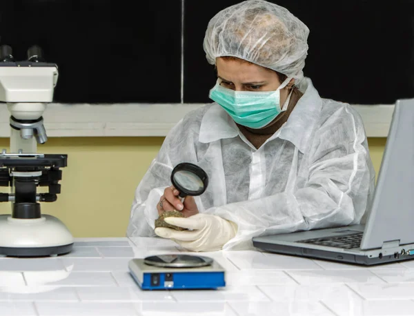 Female Geogelist Researcher Analysing Rock Her Workplace — Stock Photo, Image