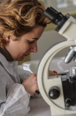 İş yerinde çalışan bir kadın araştırmacının portresi..