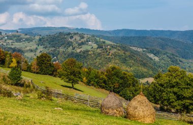 Apuseni Dağları, Transilvanya, Romanya 'da sonbahar tepe manzarası.