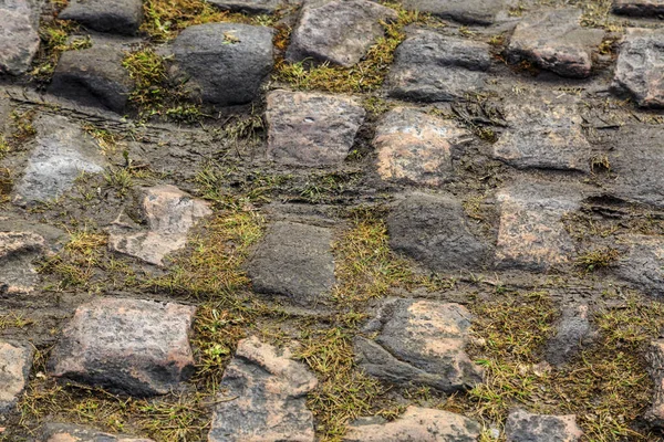 Detail Der Berühmten Kopfsteinpflasterstraße Arenberglücke Wald Von Raismes Saint Amand — Stockfoto