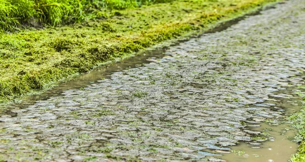 Strada acciottolata in un giorno di pioggia — Foto Stock