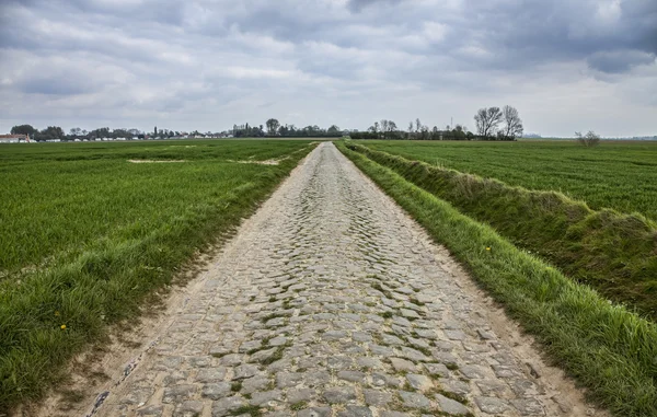 Geplaveide weg — Stockfoto