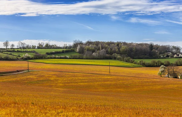 Landscape in the Perche Region of France — Stock Photo, Image