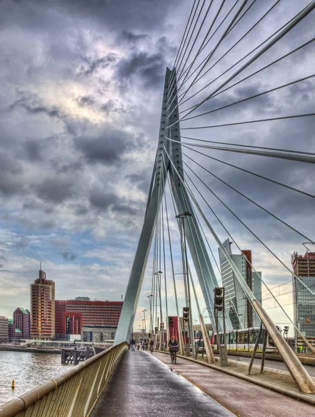 Erasmus-Brücke - Rotterdam — Stockfoto