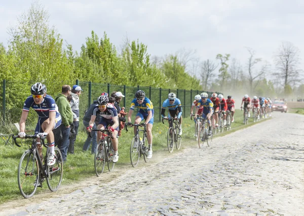 Het Peloton op een stoffige Cobblestoned weg — Stockfoto