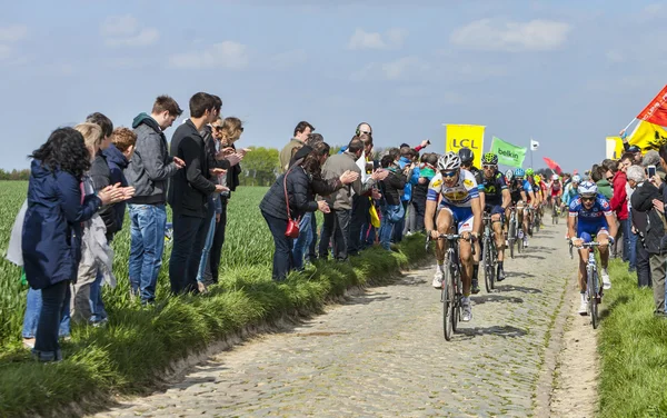 Das Peloton- paris ruubaix 2014 — Stockfoto