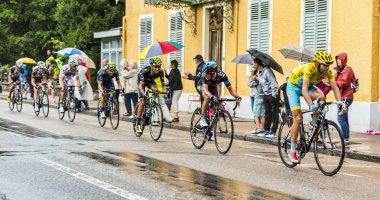 Sarı mayoyu - Vincenzo Nibali