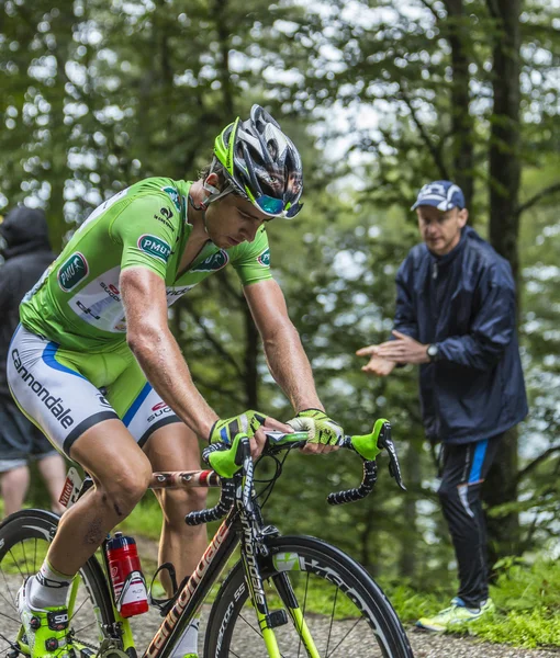 Grön Jersey - Peter Sagan — Stockfoto