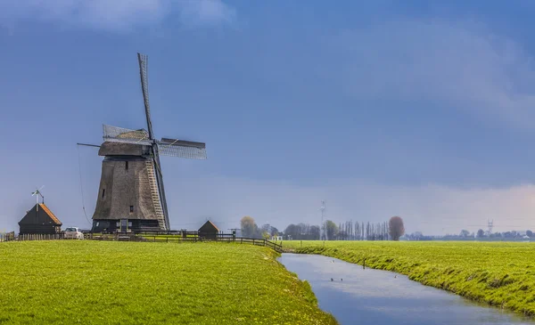 Paysage néerlandais — Photo