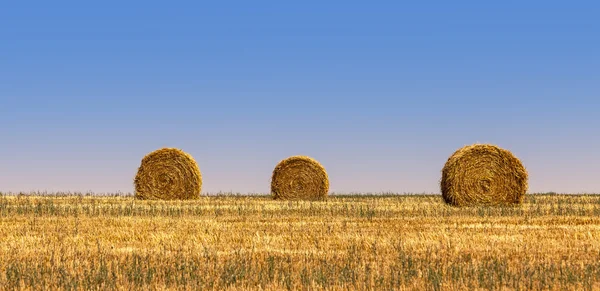 Pacas de heno — Foto de Stock