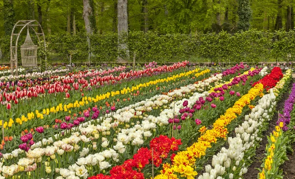 Schöner europäischer Garten — Stockfoto