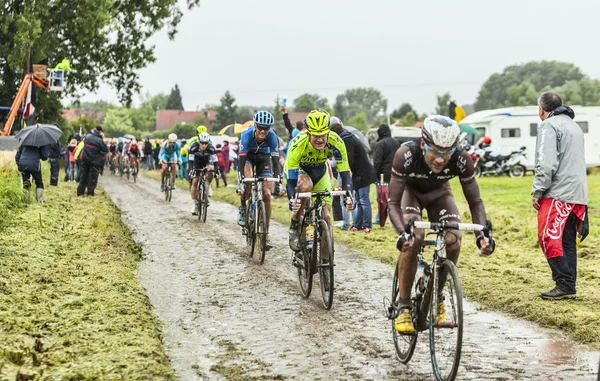 Het Peloton op een geplaveide weg - Tour de France 2014 — Stockfoto