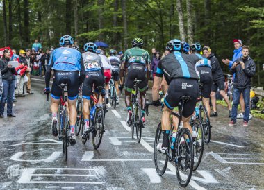 Peloton.