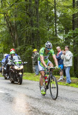 Slovak bisikletçi Peter Sagan