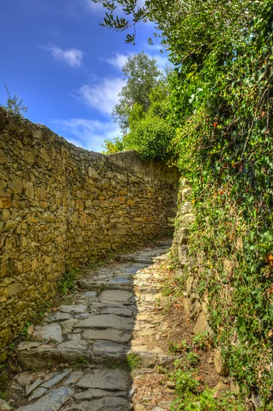 Footpath in Cinque Terre National Park — Stock Photo, Image