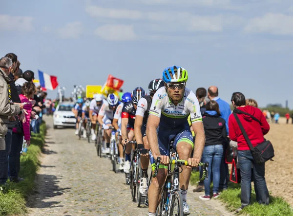 The Peloton- Paris Roubaix 2014 — Stock Photo, Image