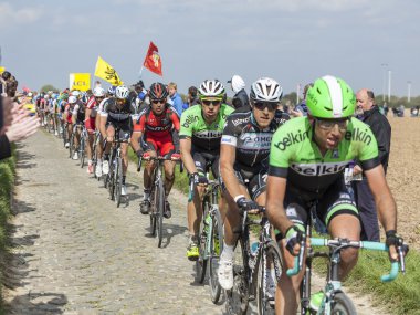 2014 peloton paris roubaix