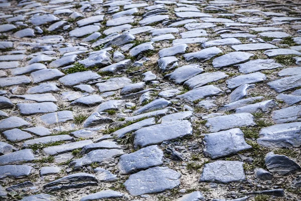 Arnavut kaldırımlı yol - ayrıntı — Stok fotoğraf