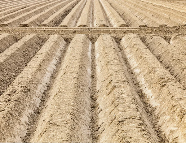 Furrows Abstract — Stock Photo, Image