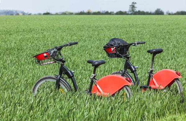 Vélos urbains dans un champ vert — Photo
