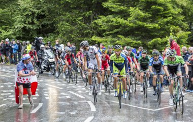 Peloton.