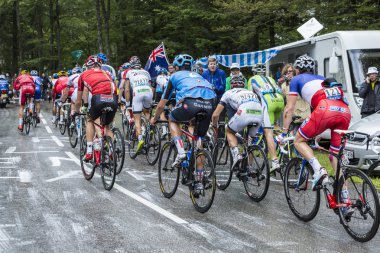Peloton.