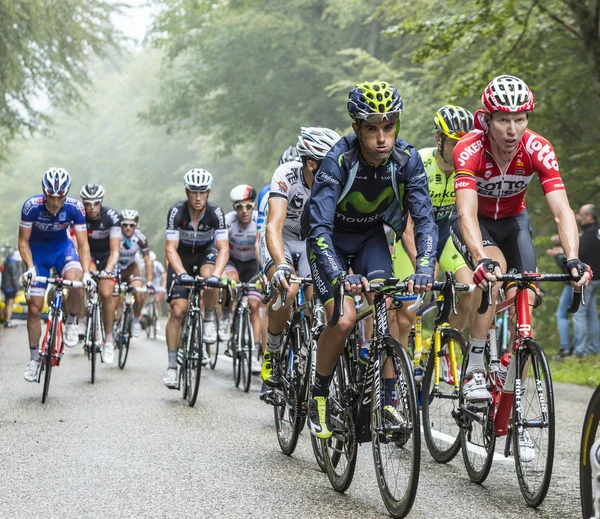 Bir Misty günde Peloton — Stok fotoğraf