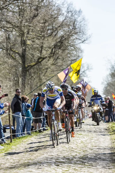 La escapada en el bosque de Arenberg- Paris Roubaix 2015 — Foto de Stock