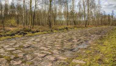 Pave d'Arenberg
