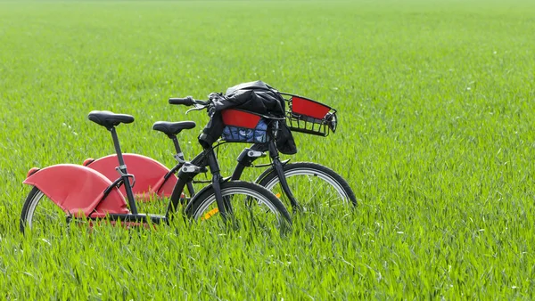 Bicicletas urbanas en un campo verde — Foto de Stock