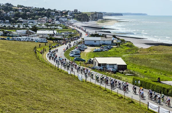 The Peloton in Normandy - Tour de France 2015 — Stock Photo, Image