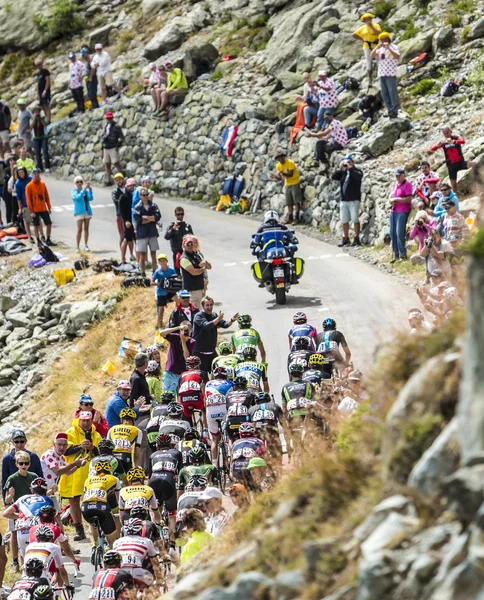 The Peloton in Mountains — Stock Photo, Image