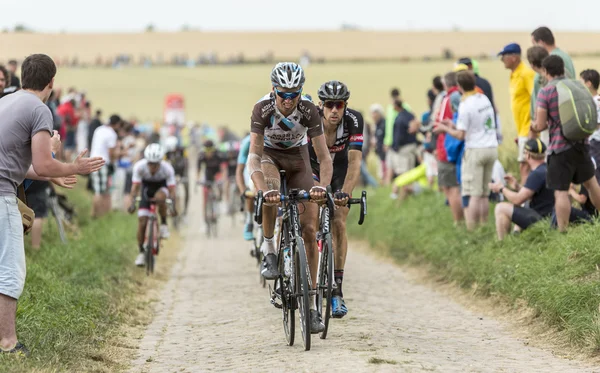 El Pelotón en una carretera empedrada - Tour de France 2015 — Foto de Stock