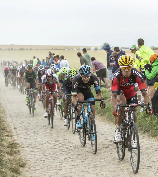 El Pelotón en una carretera empedrada - Tour de France 2015 — Foto de Stock