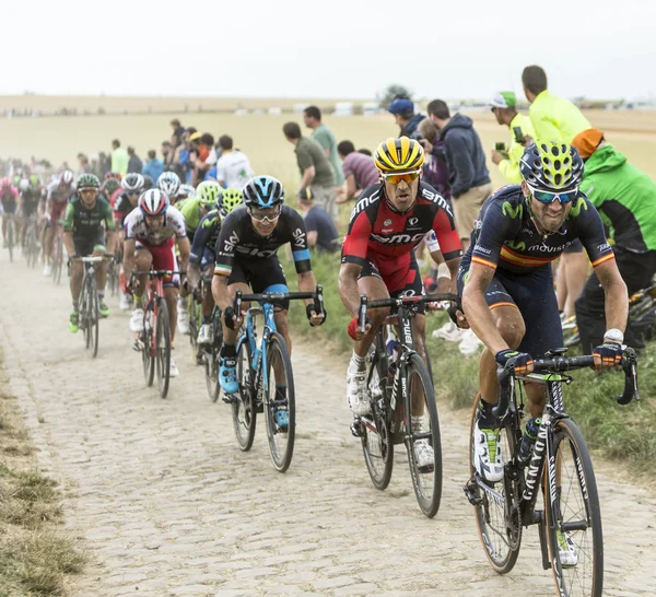 Пелотон на булыжной дороге - Тур де Франс 2015 — стоковое фото