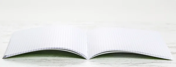 Cuaderno abierto con cuadrados — Foto de Stock