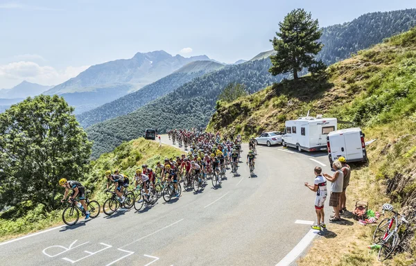 Il Peloton sul Col d'Aspin - Tour de France 2015 — Foto Stock