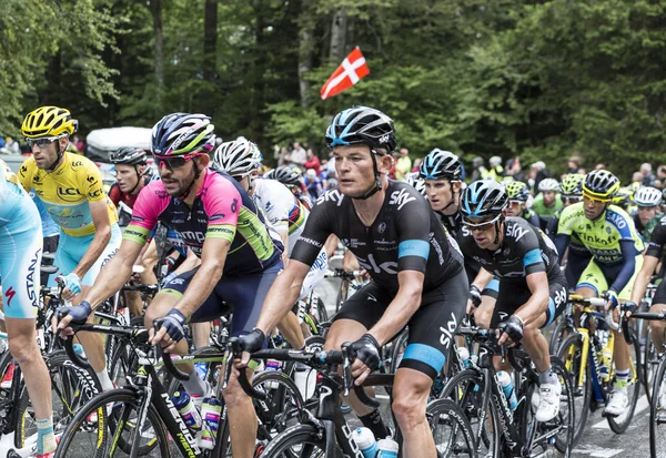 The Peloton — Stock Photo, Image