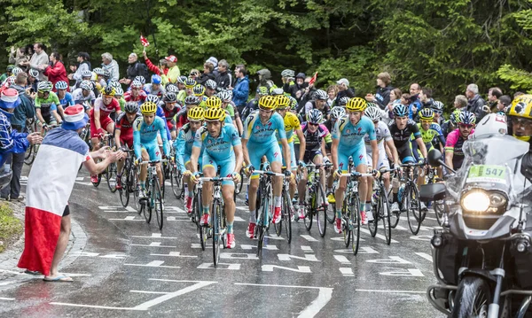 The Peloton — Stock Photo, Image