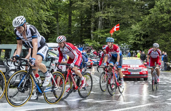 The Peloton in Full Effort — Stock Photo, Image