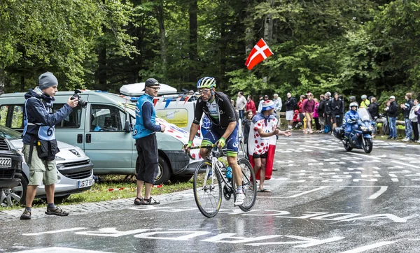 Bisikletçi Michael Albasini - Fransa Bisiklet Turu 2014 — Stok fotoğraf