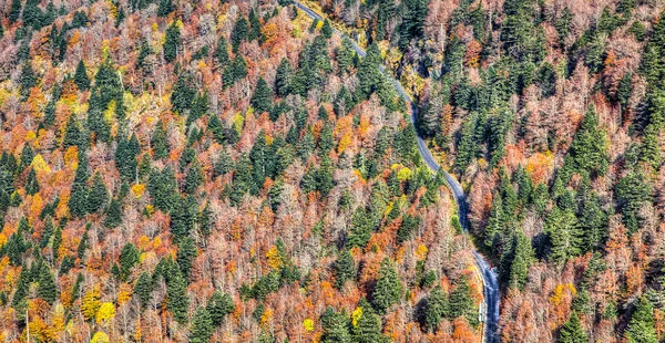 Malownicze drogi jesień — Zdjęcie stockowe