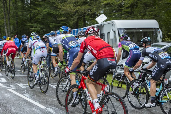 O Pelotão - Tour de France 2014 — Fotografia de Stock