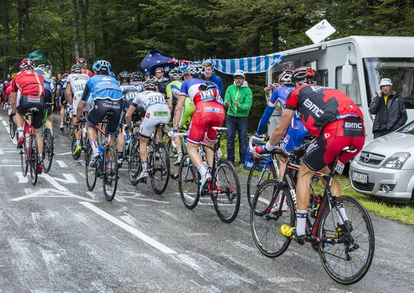 Peloton - Tour de France 2014 — Stok fotoğraf