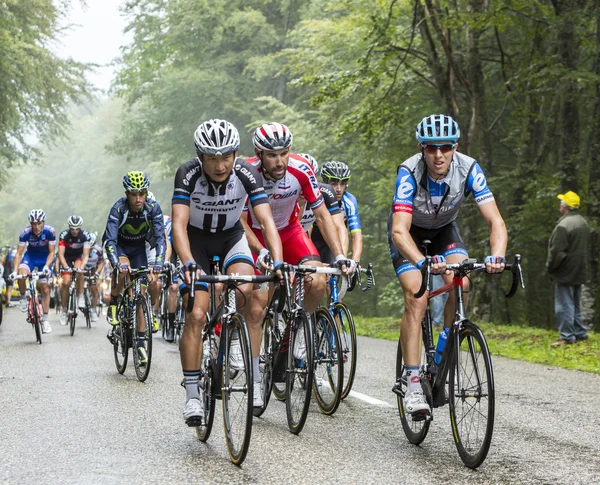 Il Peloton in un giorno nebbioso - Tour de France 2014 — Foto Stock