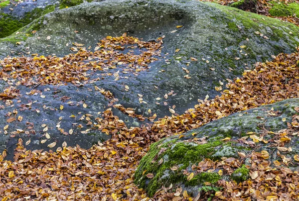 Το φθινόπωρο τα φύλλα στα βράχια — Φωτογραφία Αρχείου