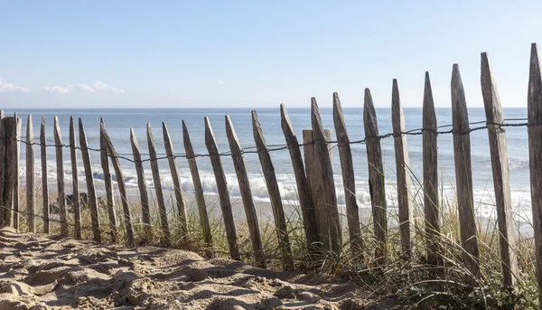 Забор на песчаной дюне — стоковое фото