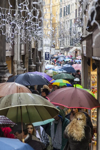 Menigte van paraplu's in Venetië — Stockfoto