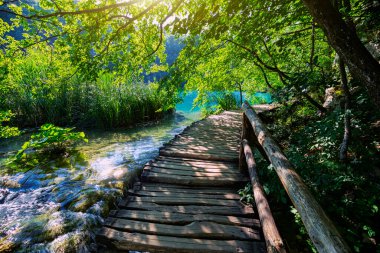 Hırvatistan 'ın Plitvice Gölleri Ulusal Parkı' nda doğa yürüyüşü için turistik ahşap patika. 